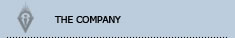 THE COMPANY
