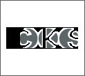 CKS Consulting Pvt. Ltd. (India)